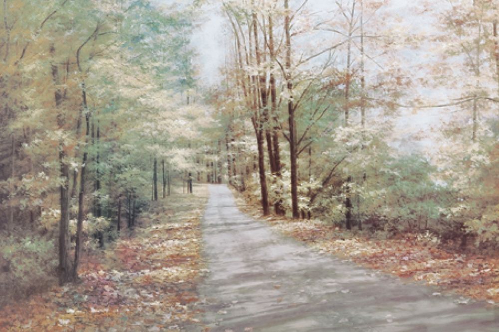 Garden Path art print by Unknown for $57.95 CAD