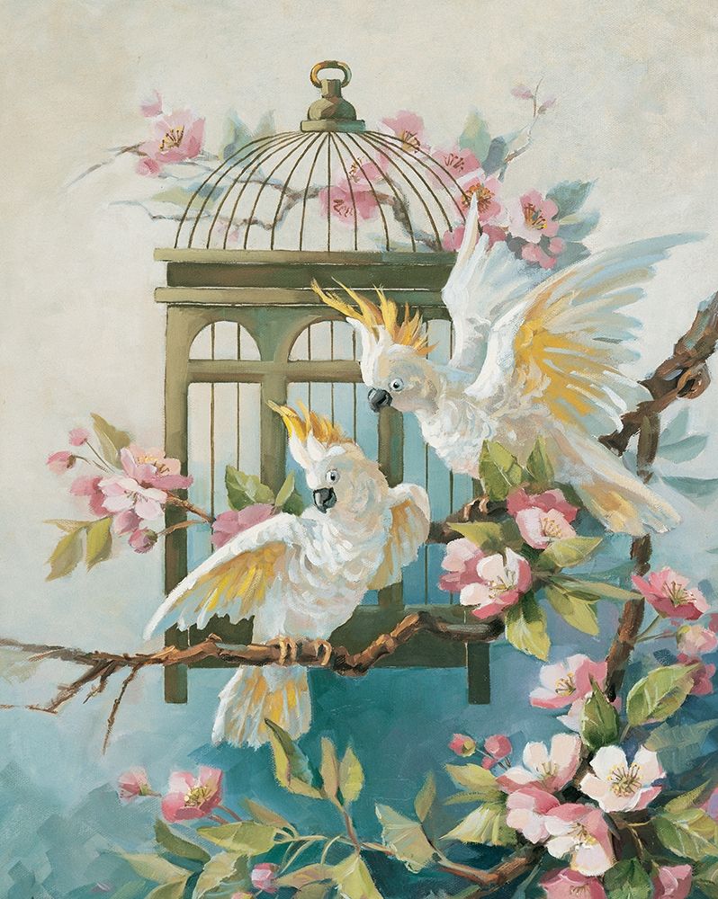 Two Cockatiels art print by Unknown for $57.95 CAD