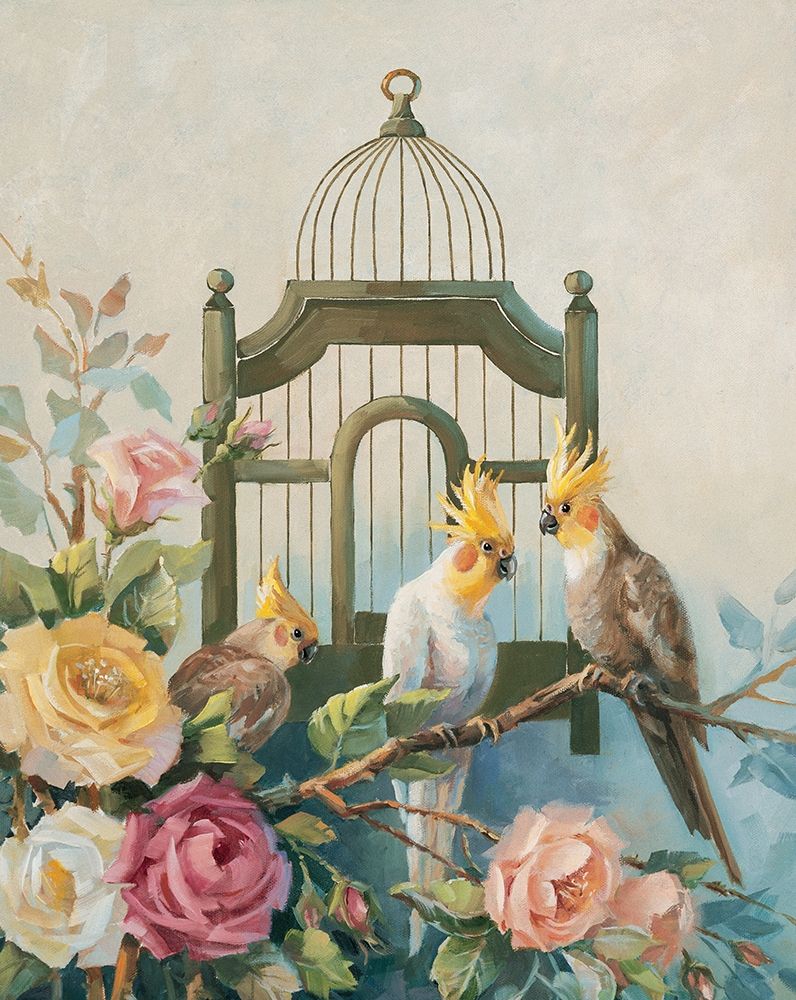 Three Cockatiels art print by Unknown for $57.95 CAD