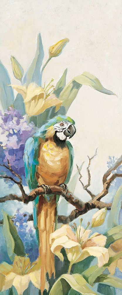 Parrot Panel I art print by Unknown for $57.95 CAD