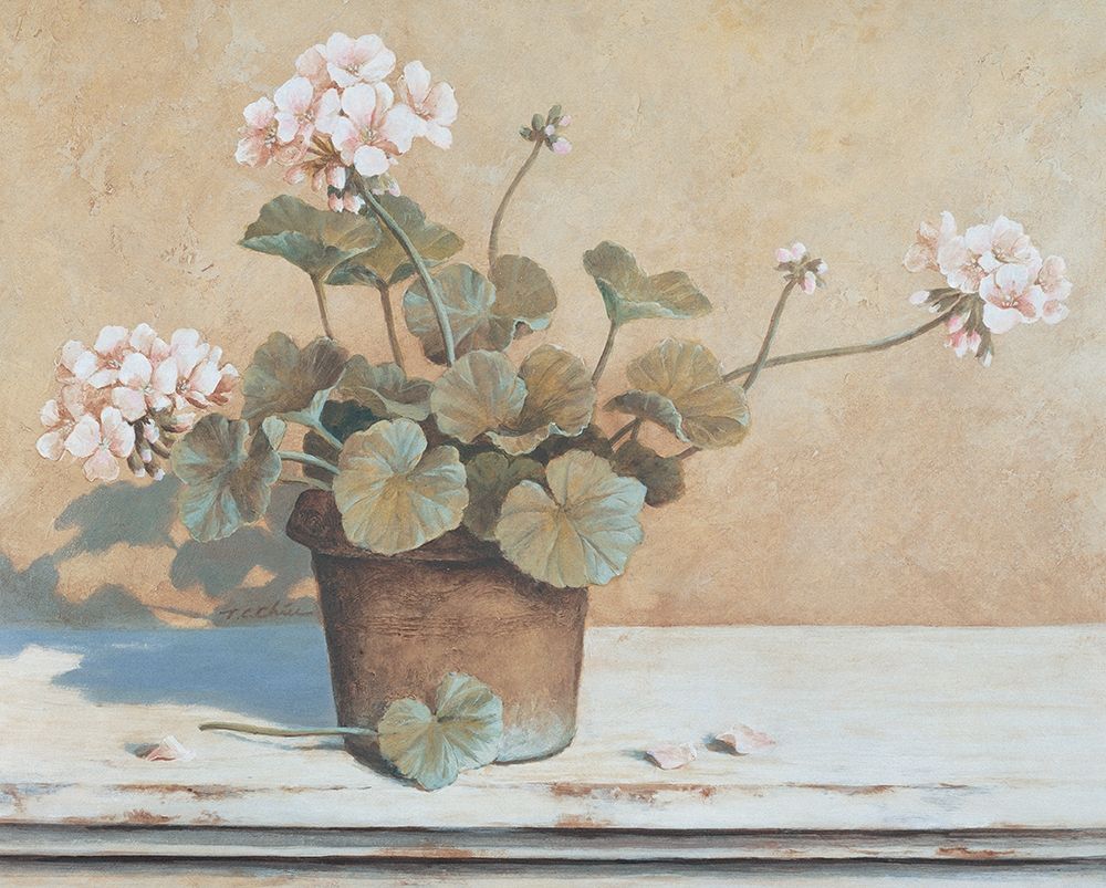 Potted Geranium II art print by Unknown for $57.95 CAD