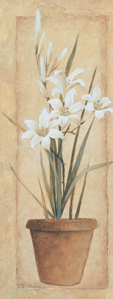 Potted Lily art print by Unknown for $57.95 CAD
