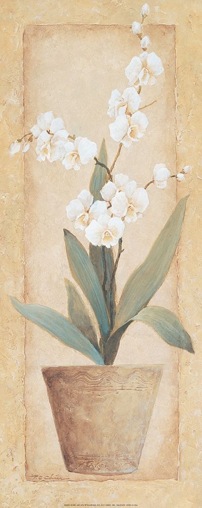 Potted Amarylis art print by Unknown for $57.95 CAD