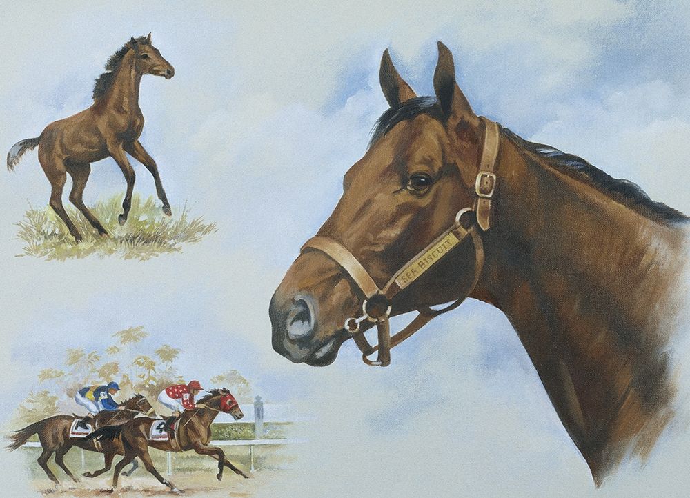 Thoroughbred I art print by Unknown for $57.95 CAD