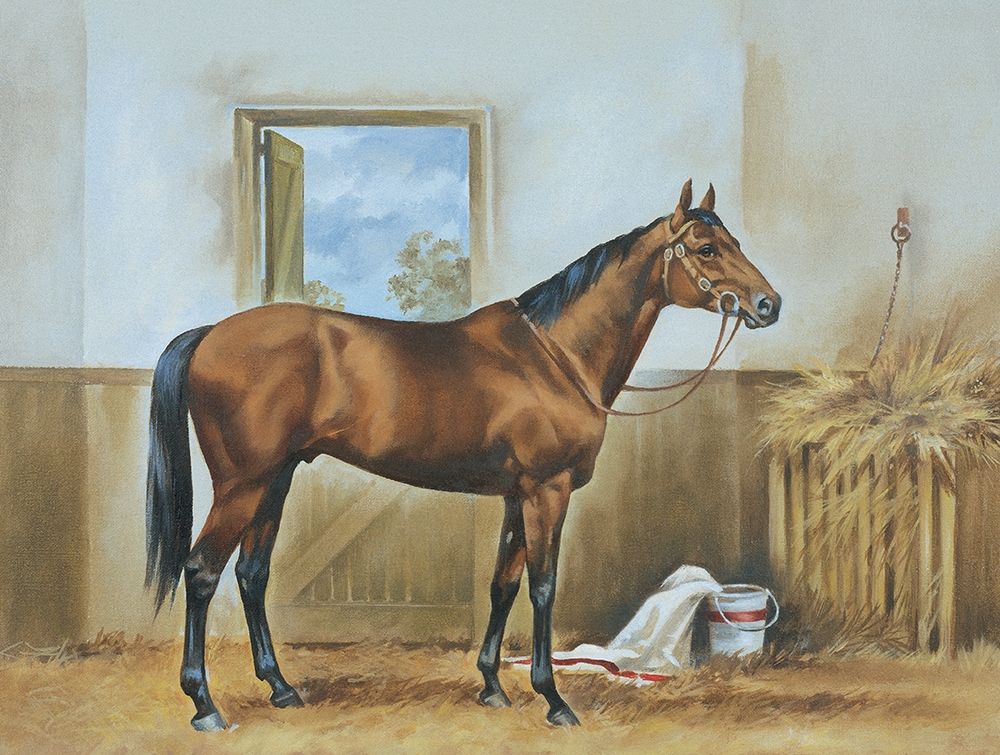 Thoroughbred II art print by Unknown for $57.95 CAD