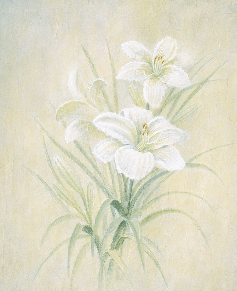 White Lily art print by Unknown for $57.95 CAD