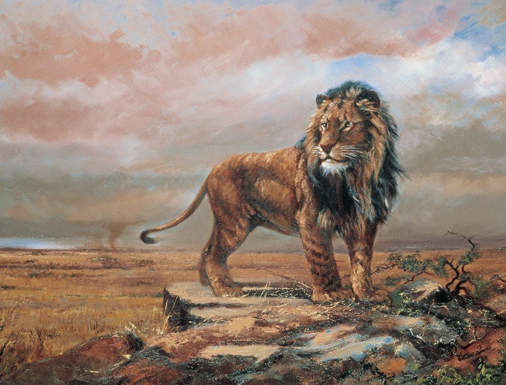 Savanne Lion art print by Unknown for $57.95 CAD