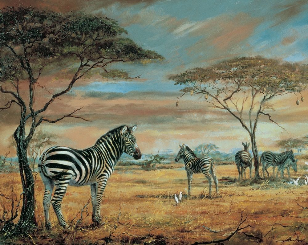 Savanne Zebras art print by Unknown for $57.95 CAD