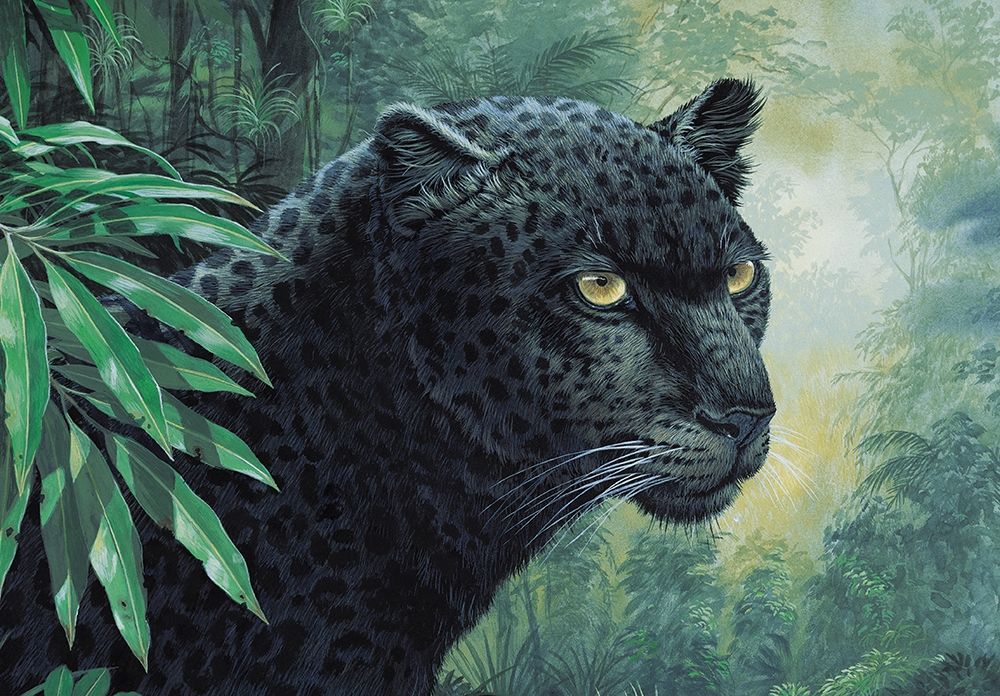 Black Panther art print by Unknown for $57.95 CAD