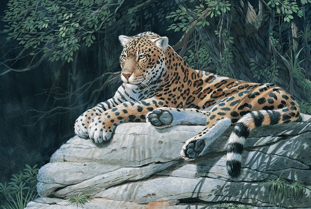 Jaguar art print by Unknown for $57.95 CAD