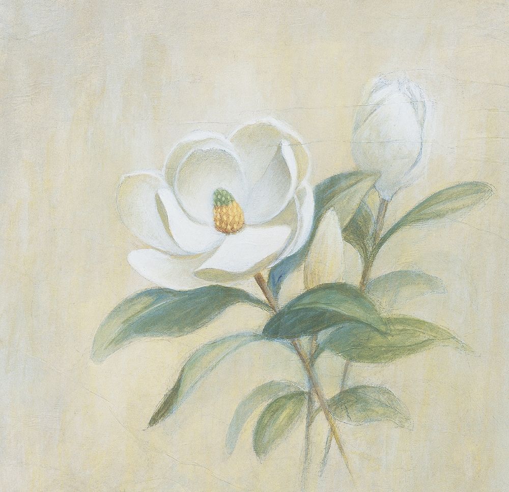 White Flower art print by Unknown for $57.95 CAD