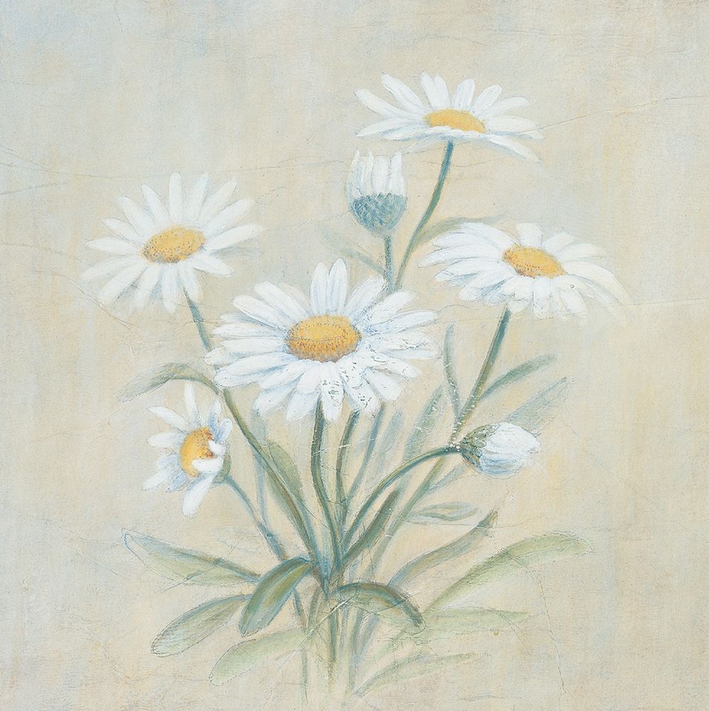 White Daffodils art print by Unknown for $57.95 CAD