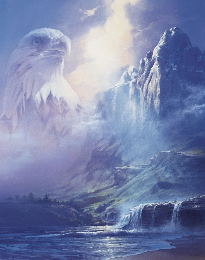Eagles Fly Free art print by Unknown for $57.95 CAD