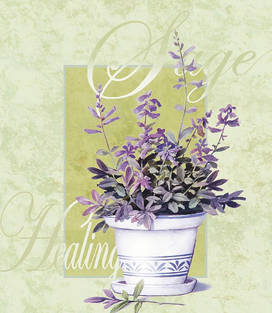 Sage art print by Unknown for $57.95 CAD