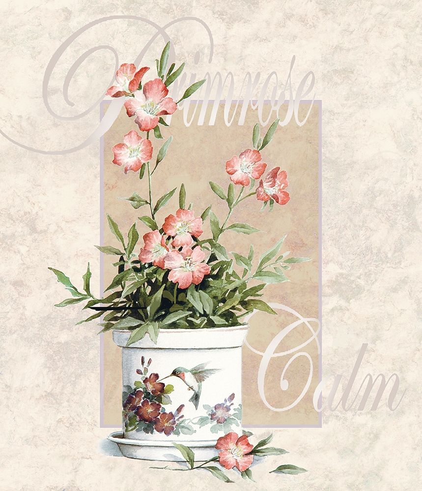 Primrose art print by Unknown for $57.95 CAD