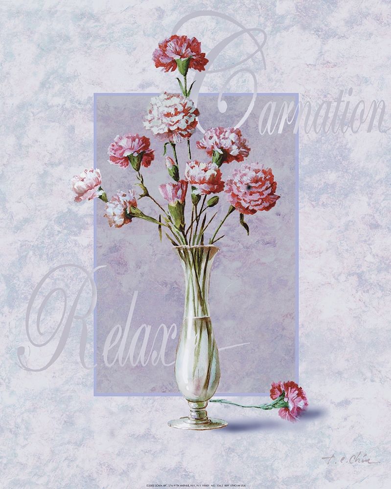 Carnation art print by Unknown for $57.95 CAD