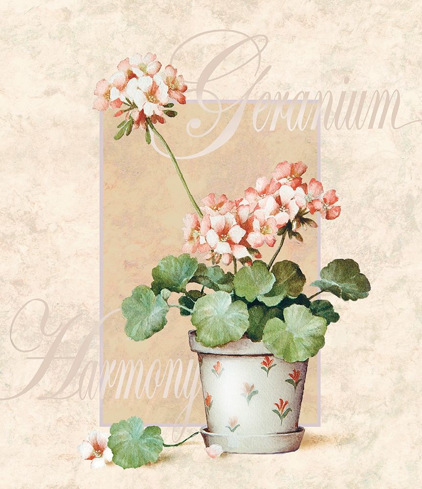 Giranium art print by Unknown for $57.95 CAD