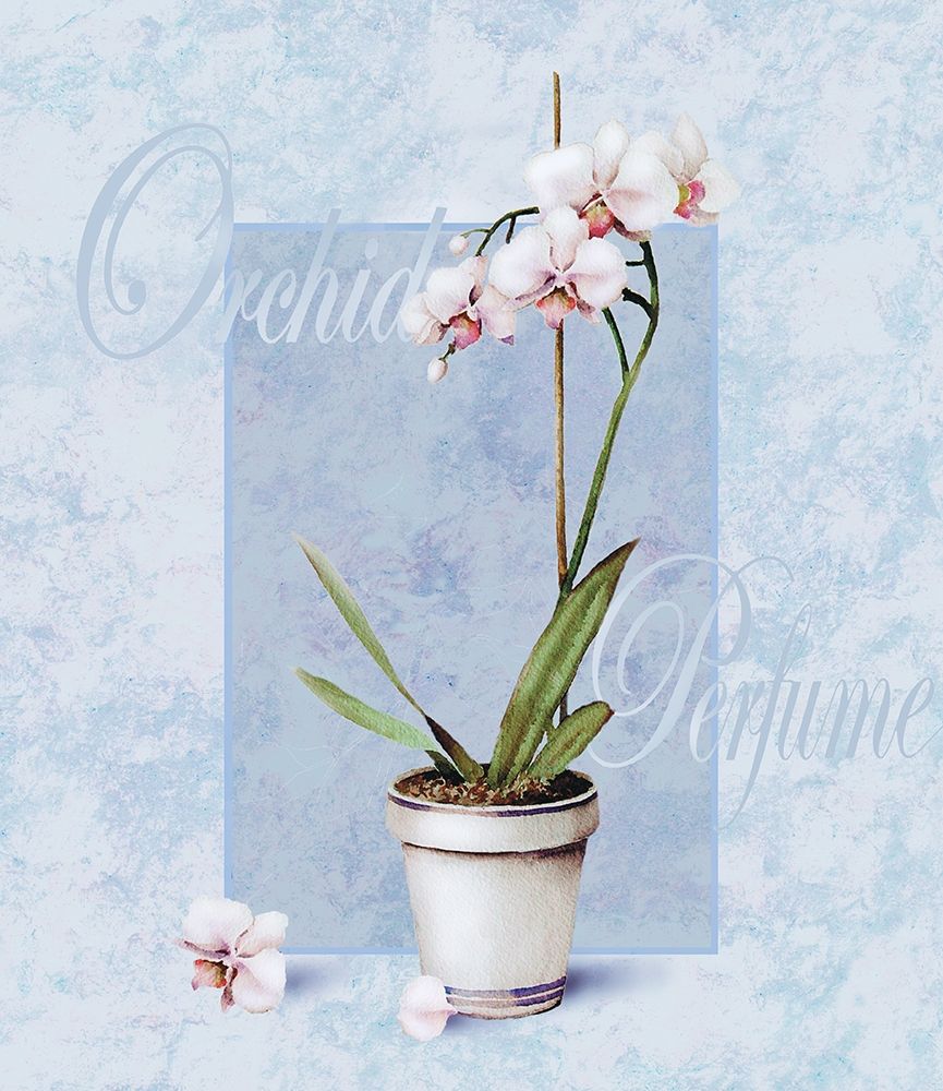 Orchid art print by Unknown for $57.95 CAD