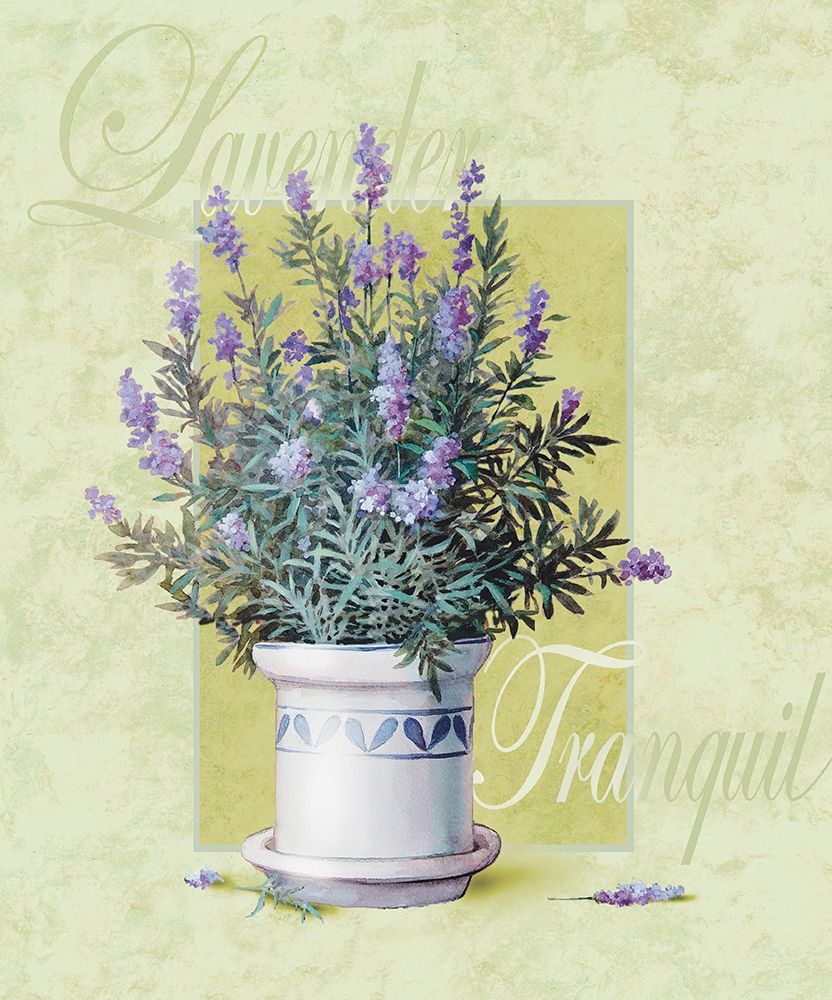 Lavendar art print by Unknown for $57.95 CAD