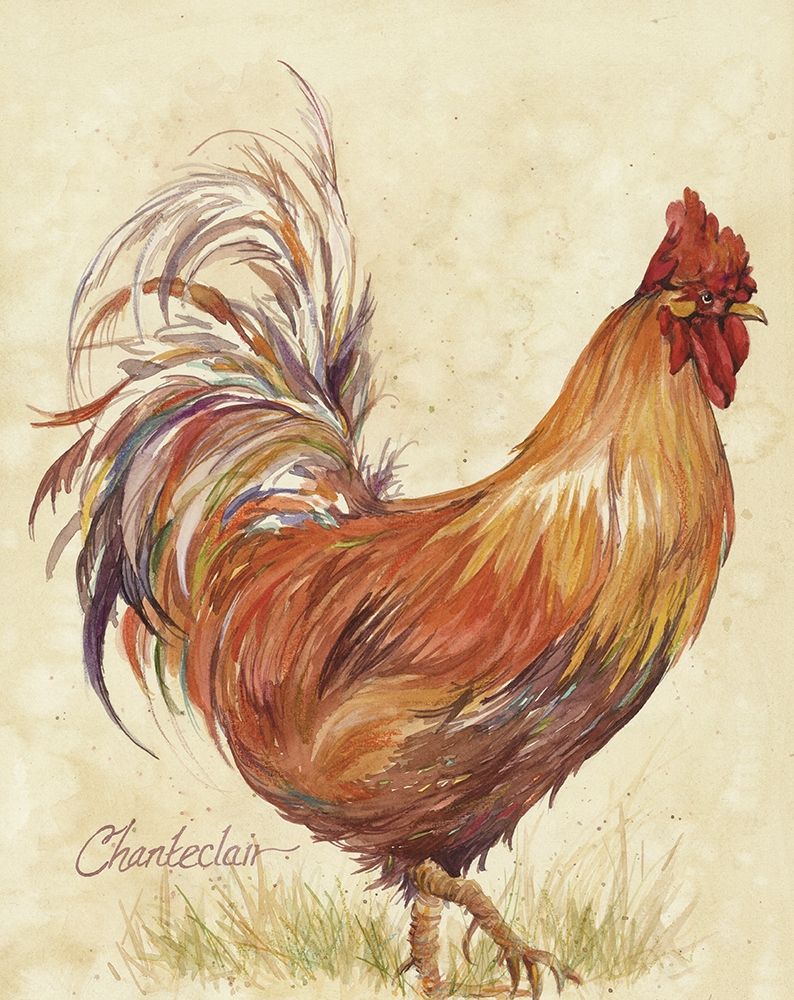 Chanteclair art print by Unknown for $57.95 CAD