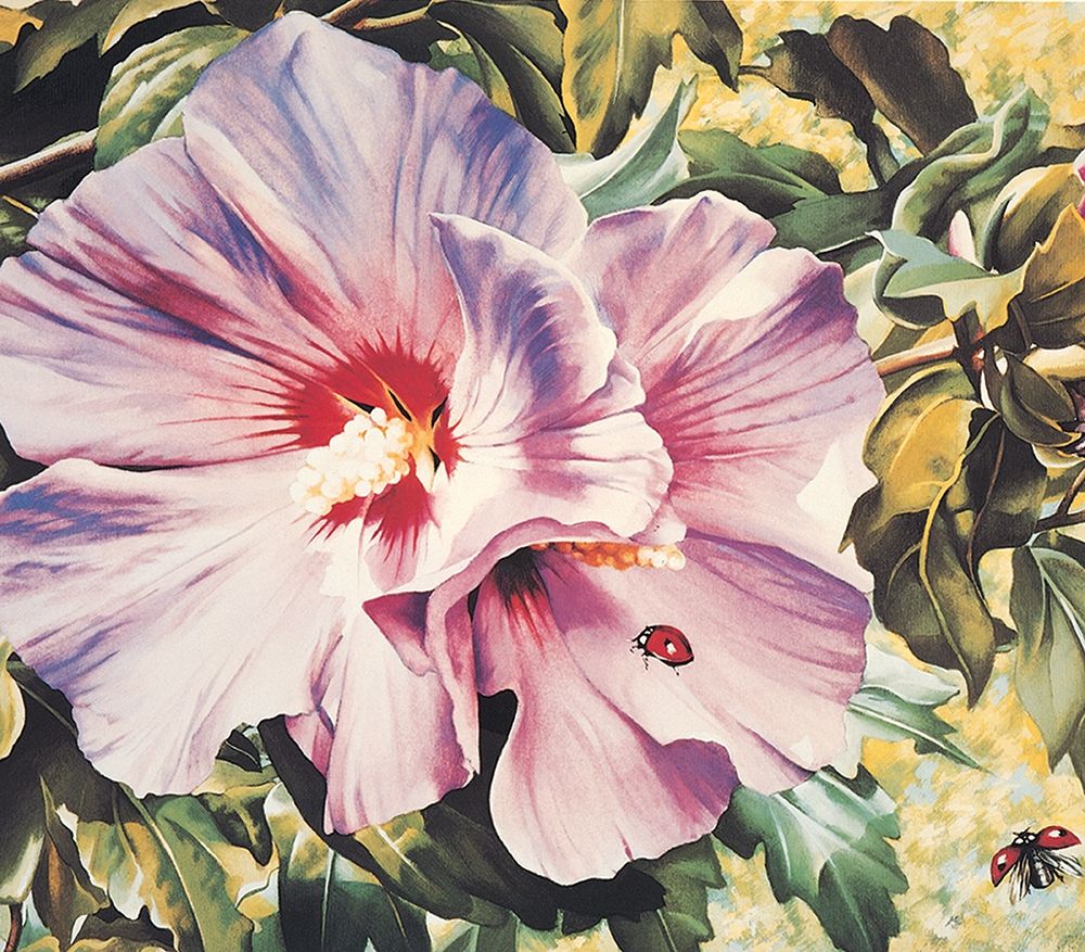 Orchid art print by Unknown for $57.95 CAD