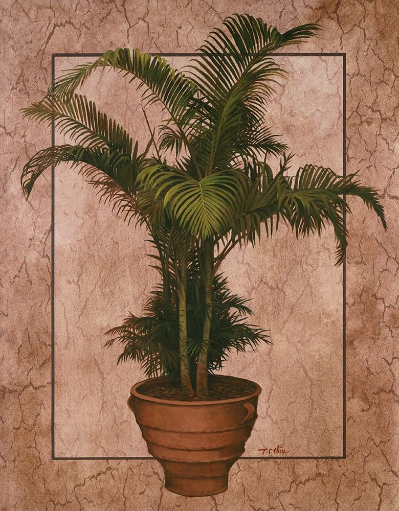 Potted Palm II art print by Unknown for $57.95 CAD