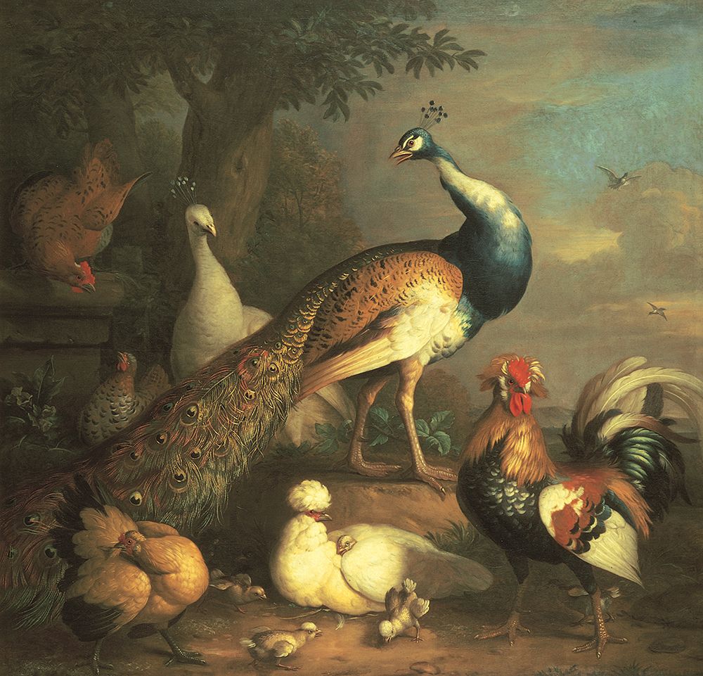 Peacock And Friends art print by Unknown for $57.95 CAD