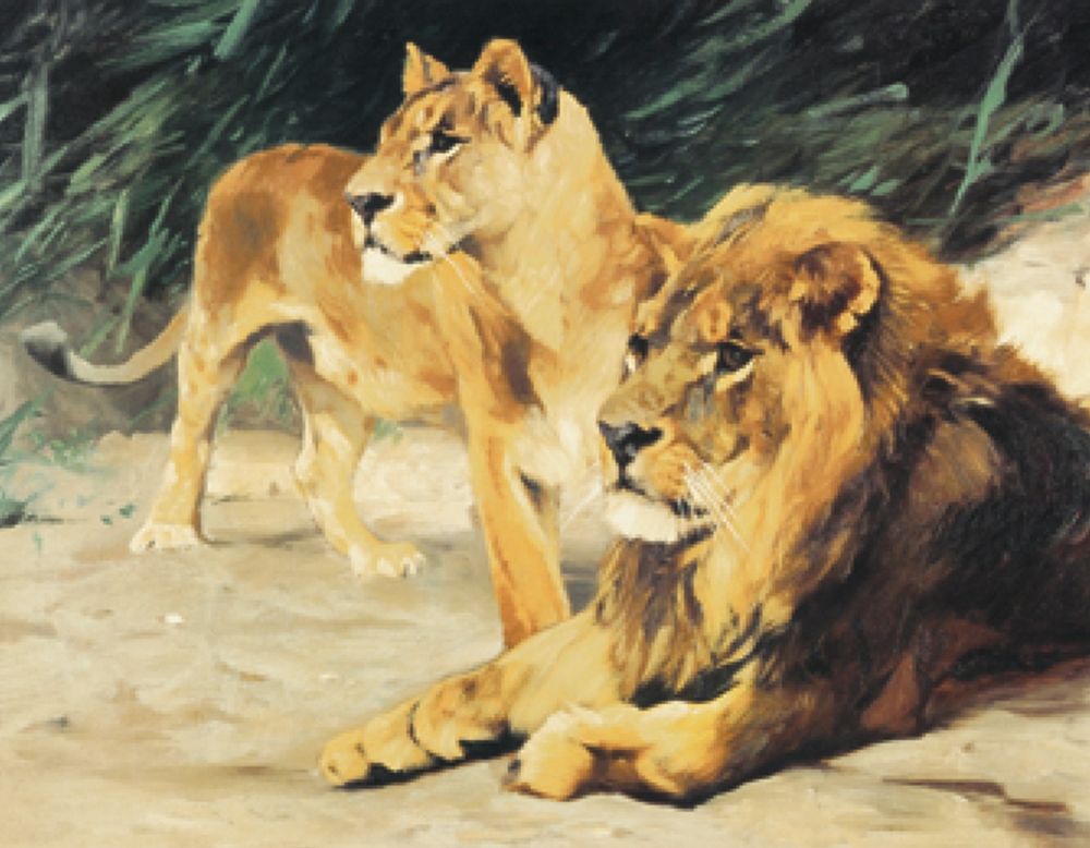 Two Lions art print by Unknown for $57.95 CAD