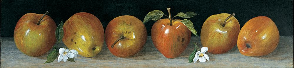 Apple Panel art print by Galley for $57.95 CAD