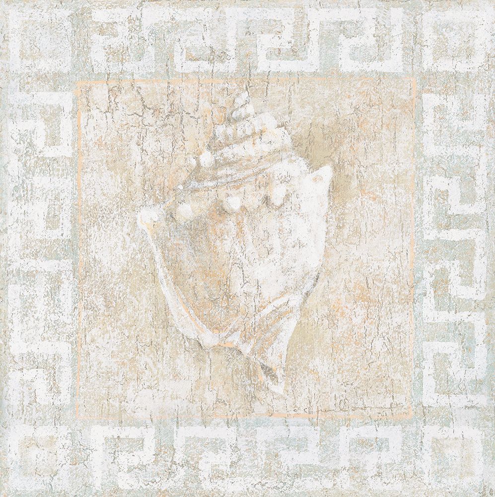 Conch Shell art print by Wilson for $57.95 CAD
