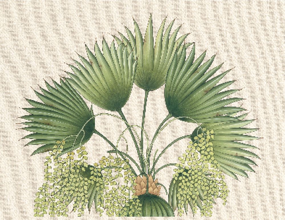 Palm Fronds II art print by Unknown for $57.95 CAD
