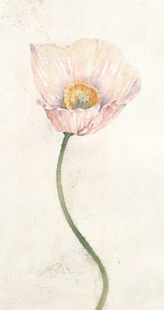 Budding Flower I art print by Unknown for $57.95 CAD