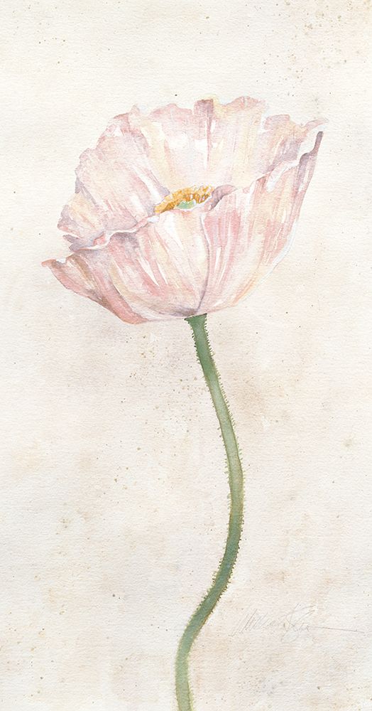 Budding Flower II art print by Unknown for $57.95 CAD