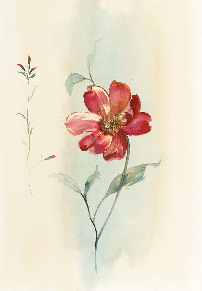 Modern Red Floral art print by Unknown for $57.95 CAD