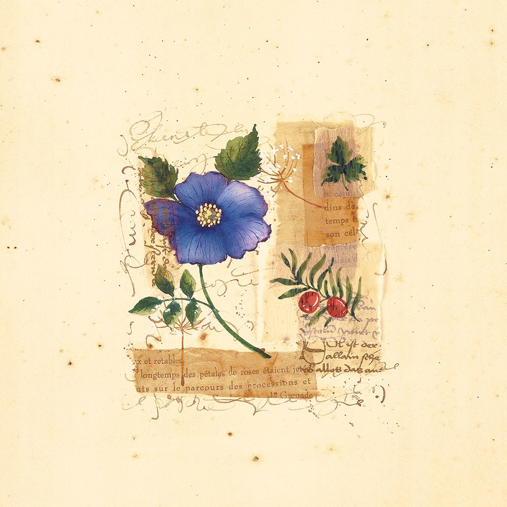 Parisian Pansy I art print by Unknown for $57.95 CAD