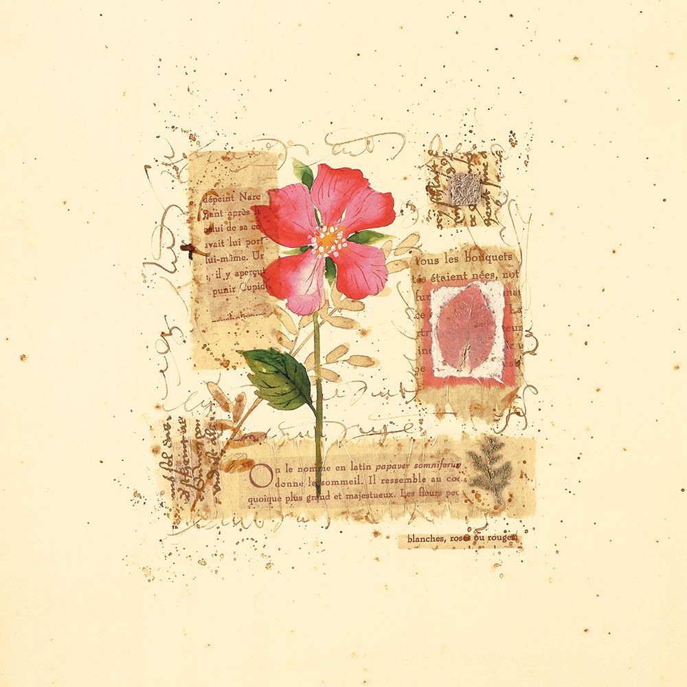 Parisian Pansy II art print by Unknown for $57.95 CAD