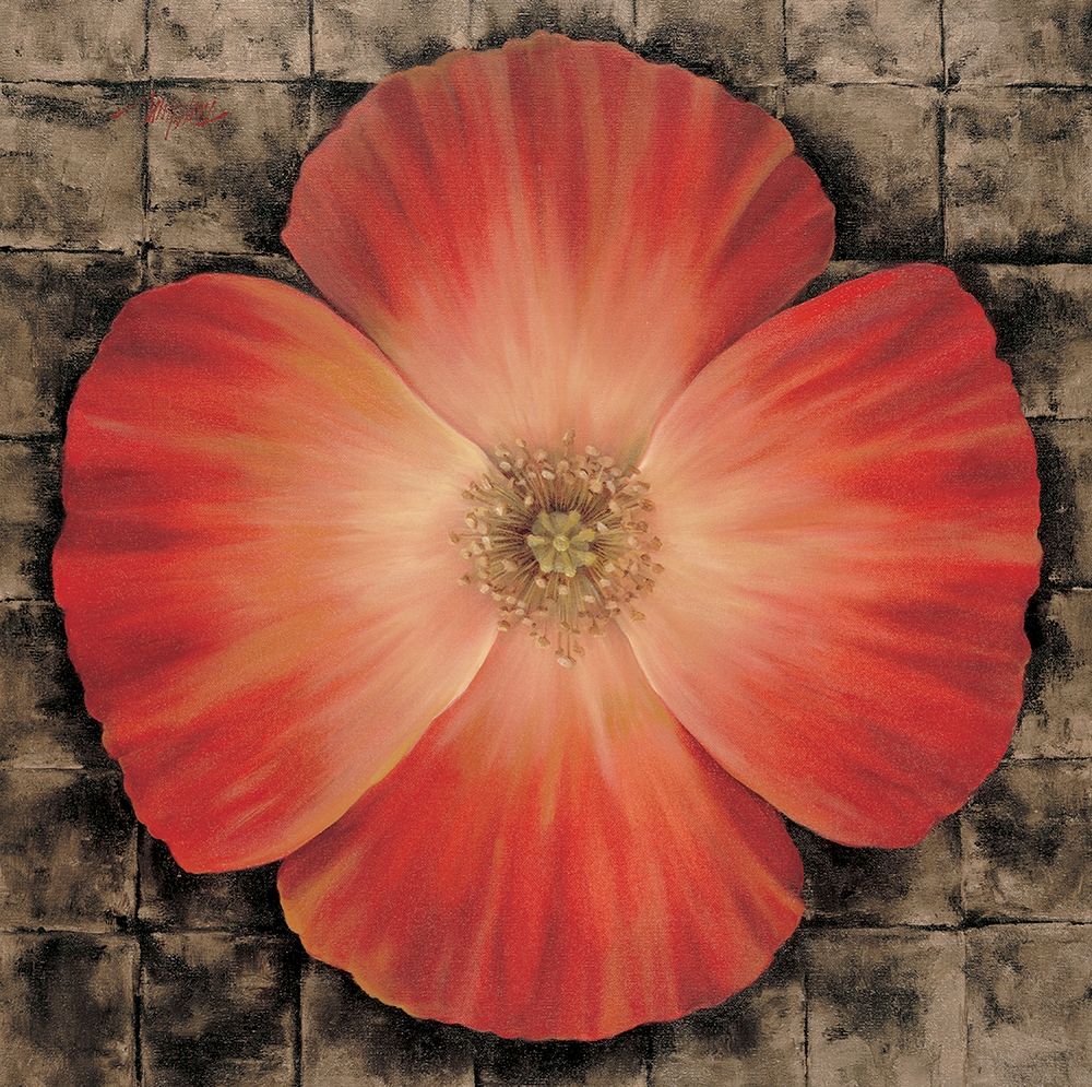 Red Poppy I art print by Unknown for $57.95 CAD