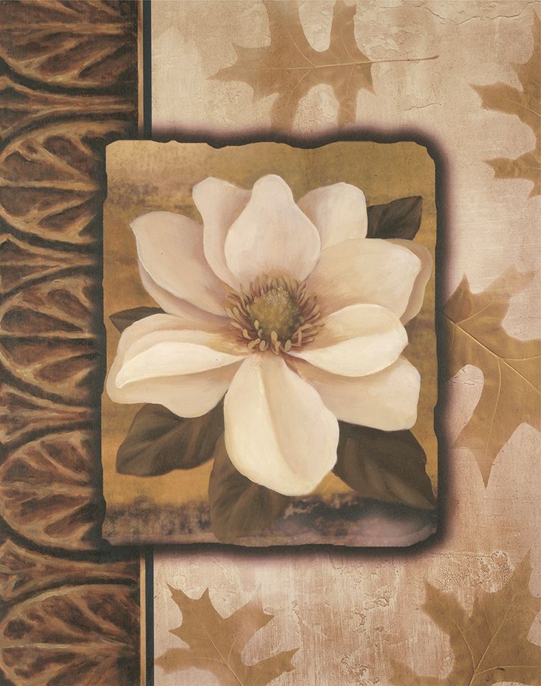 White Orchid art print by Unknown for $57.95 CAD