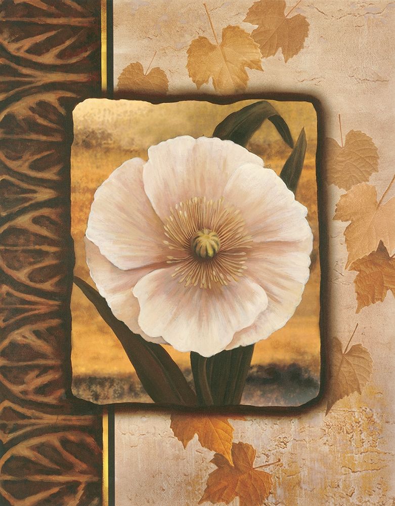 White Poppy art print by Unknown for $57.95 CAD