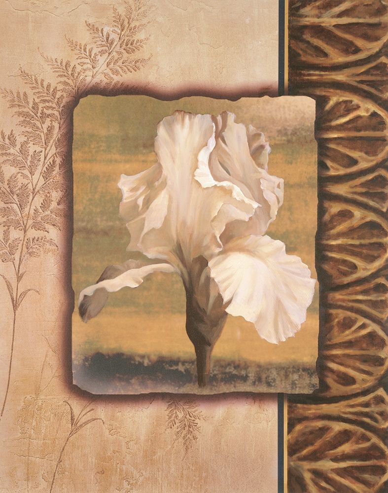 White Iris art print by Unknown for $57.95 CAD