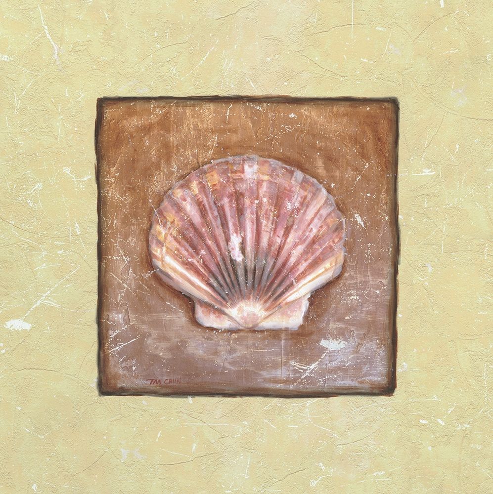Sea Shell art print by Unknown for $57.95 CAD