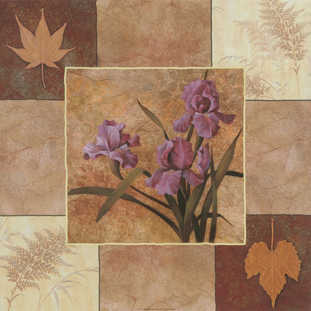 Lavendar Iris art print by Unknown for $57.95 CAD