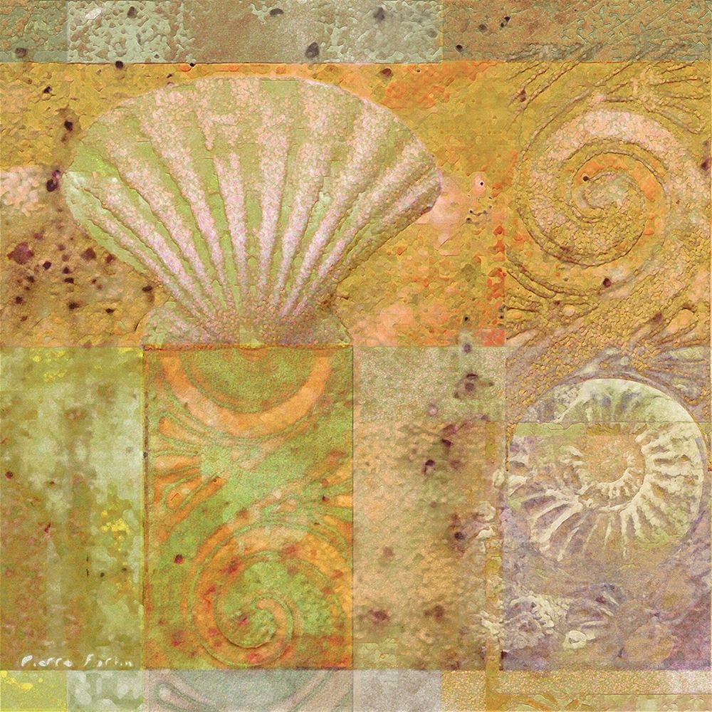 Seashell Collage art print by Unknown for $57.95 CAD