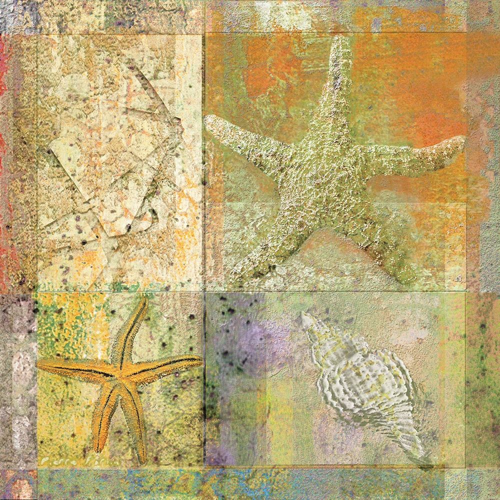 Starfish Collage art print by Unknown for $57.95 CAD