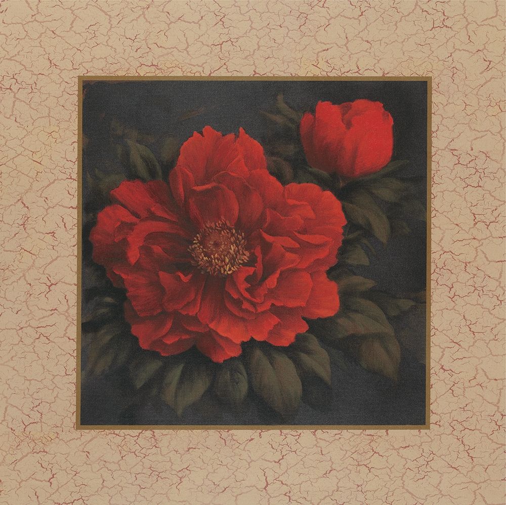 Red Carnation with Border I art print by Unknown for $57.95 CAD