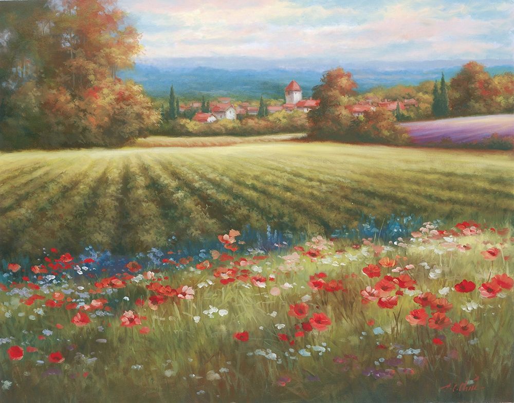 Fields of Provence I art print by Unknown for $57.95 CAD