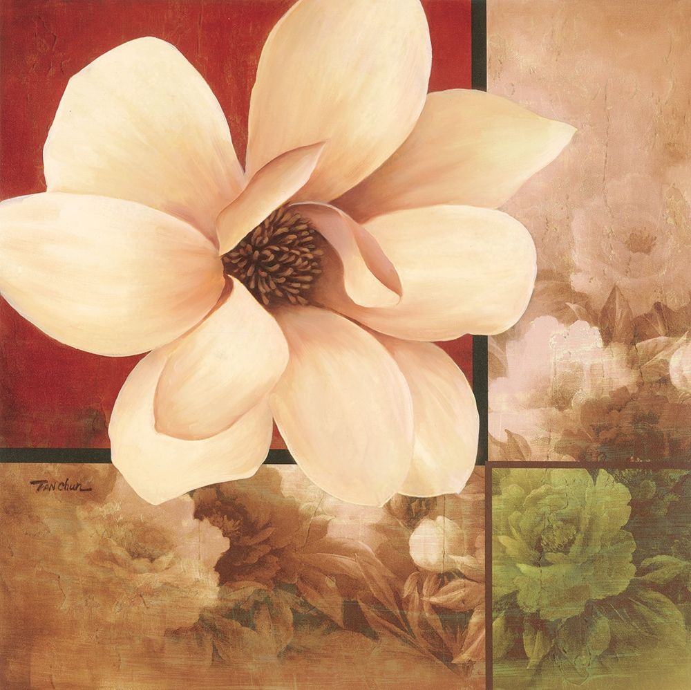 Magnolia Collage art print by Unknown for $57.95 CAD