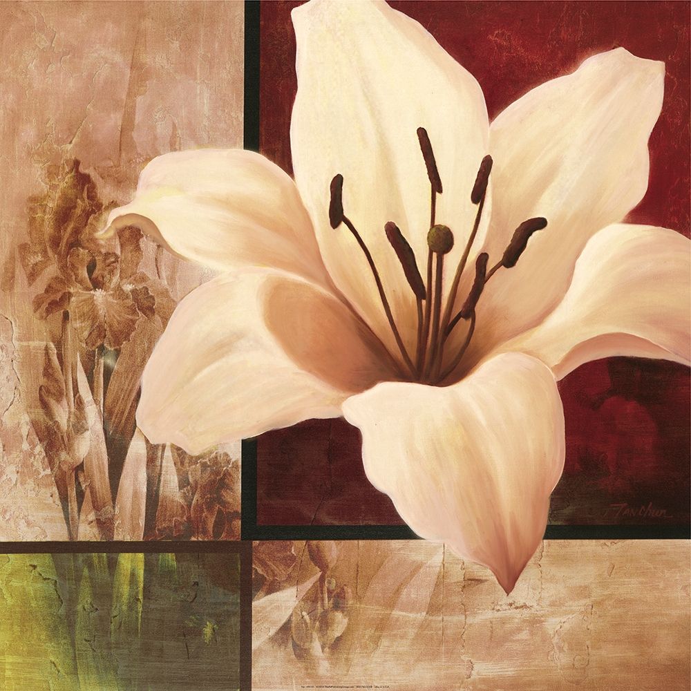 Lily Collage art print by Unknown for $57.95 CAD