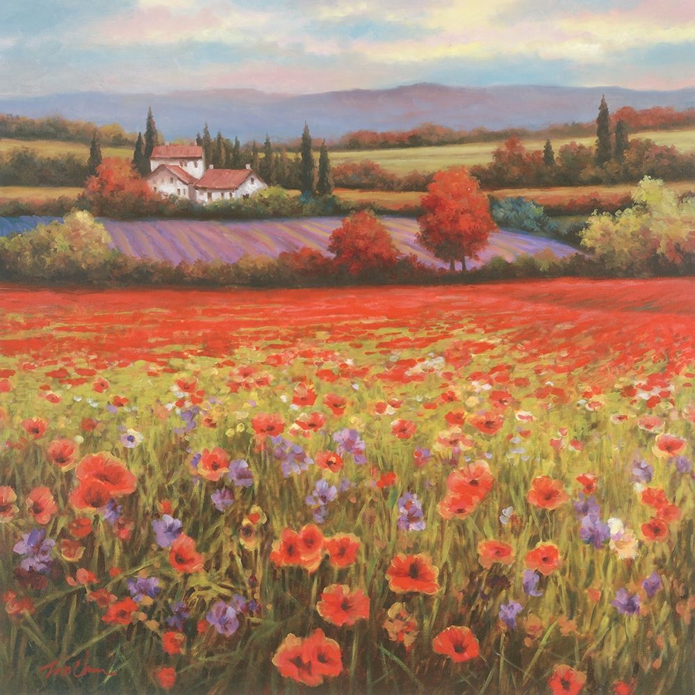 Poppy Pastures I art print by Unknown for $57.95 CAD