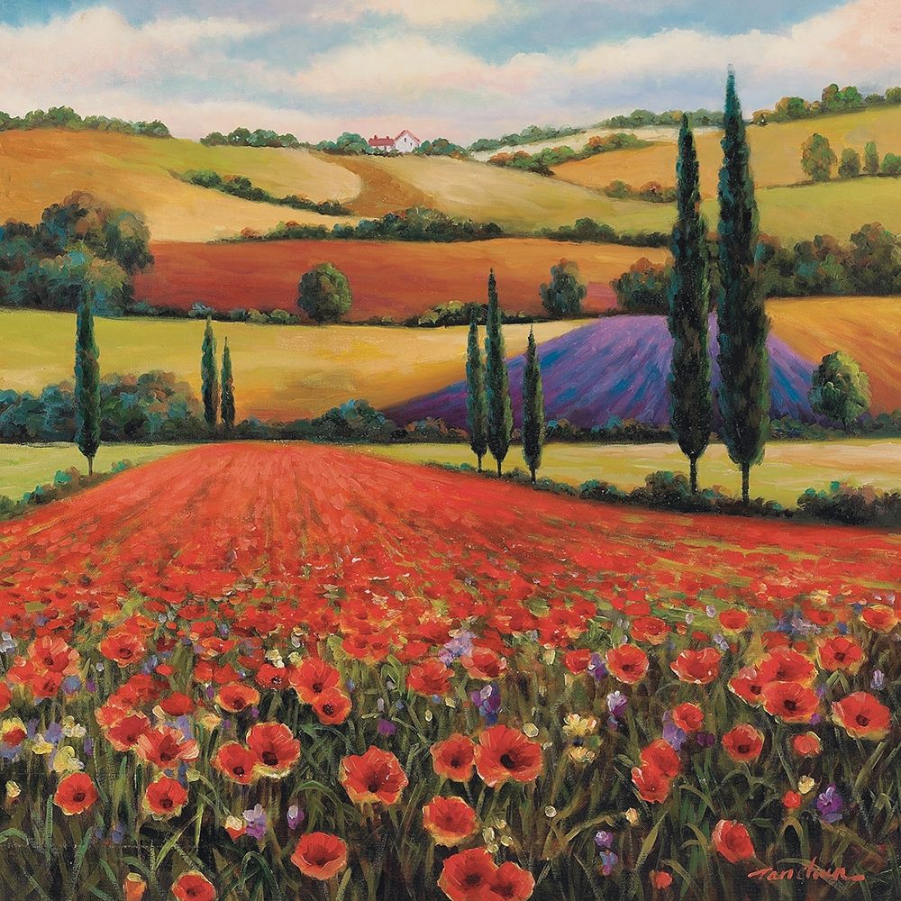 Fields of Poppies II art print by Unknown for $57.95 CAD